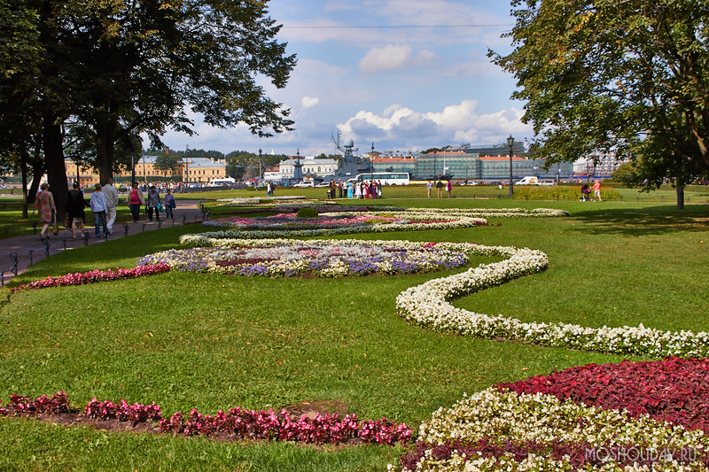 Александровский сад петербург фото